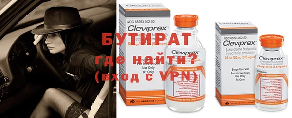 индика Белокуриха