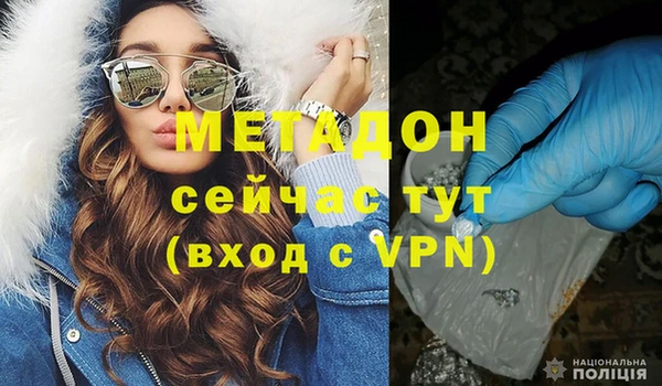 прущие грибы Бронницы