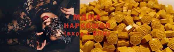 прущие грибы Бронницы