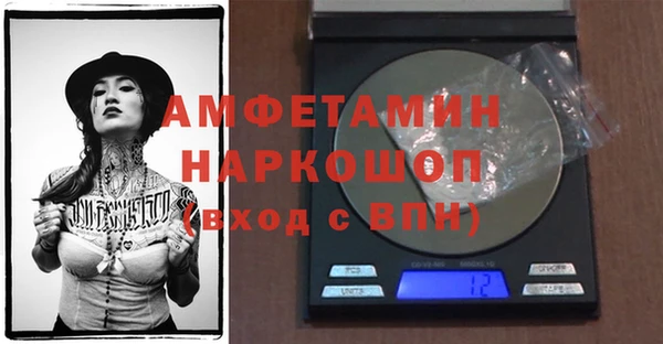 прущие грибы Бронницы