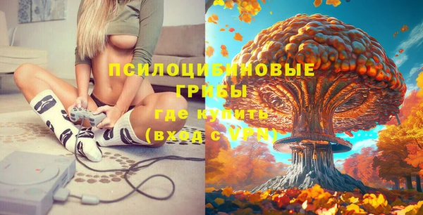 прущие грибы Бронницы
