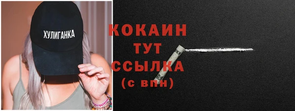 прущие грибы Бронницы