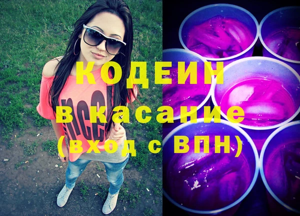 прущие грибы Бронницы