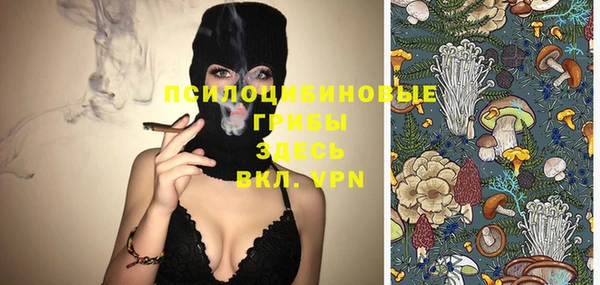 прущие грибы Бронницы