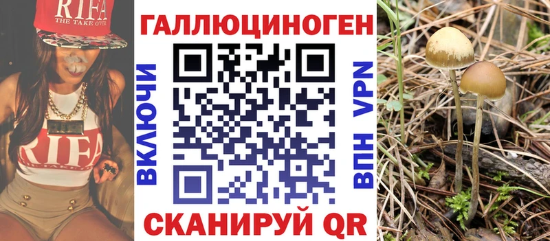 Галлюциногенные грибы Psilocybine cubensis  цены наркотик  Свободный 