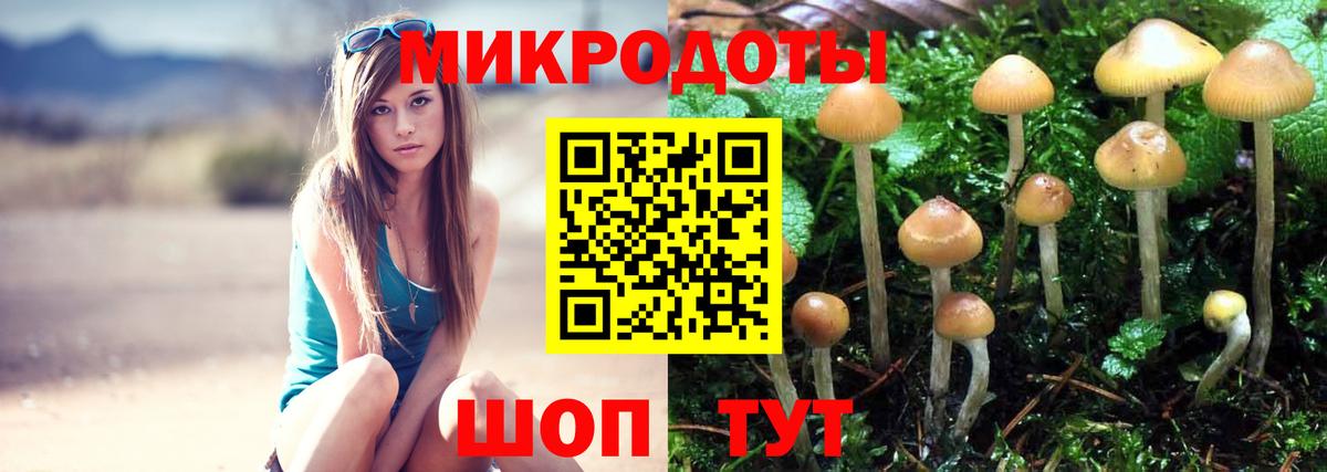 Псилоцибиновые грибы ЛСД Свободный